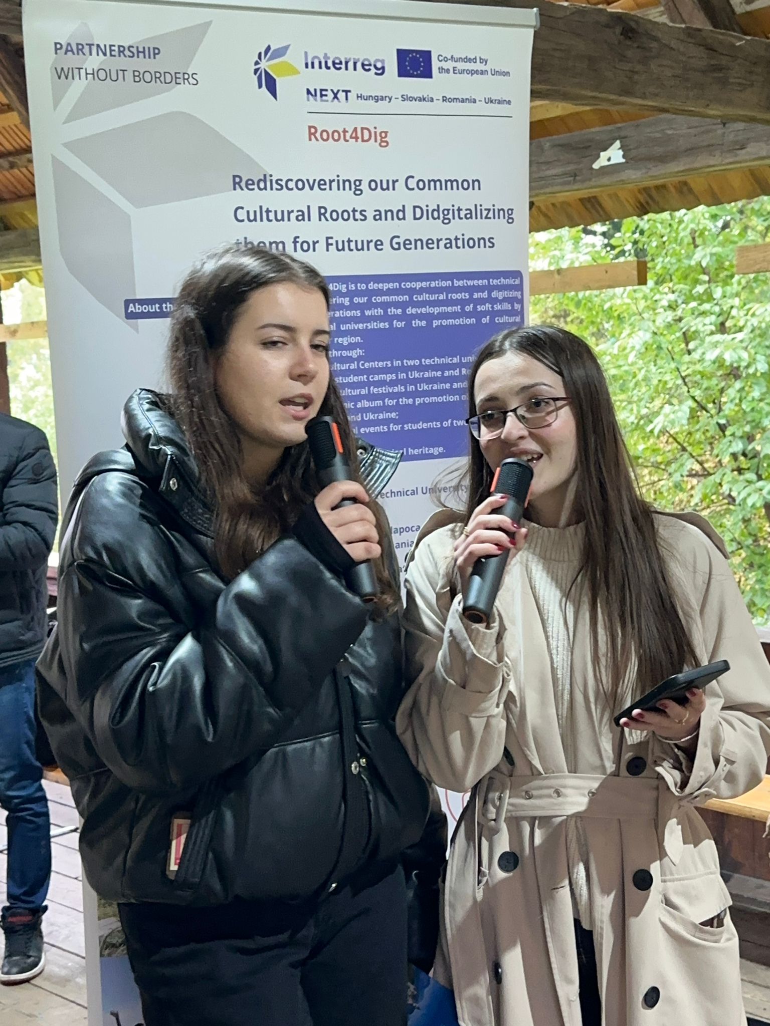 Folk Art Festival — Village Museum (Baia Mare) media
